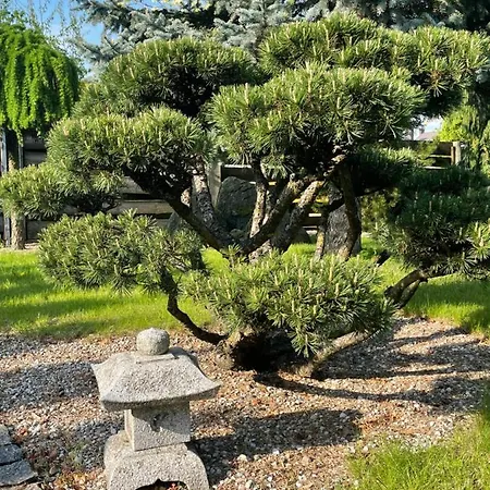 Pool With Japanese Garden